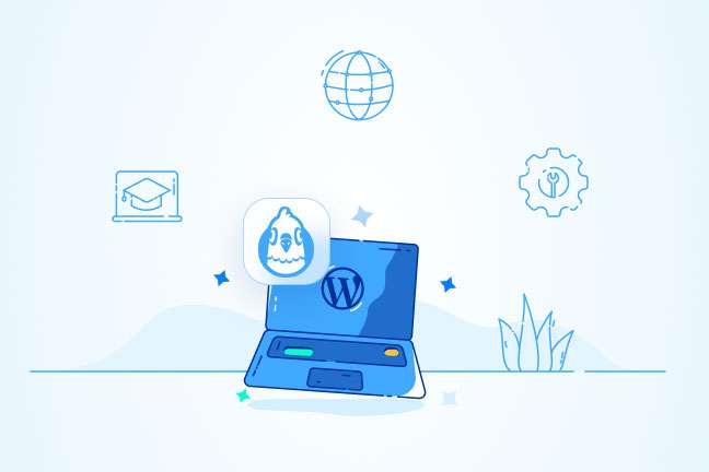 WP Mail SMTP